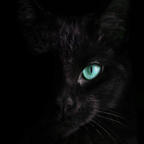 Chintyadewi Chintya Puspa D Github - Beautiful Ultra HD Ocean Pictures | Free Download