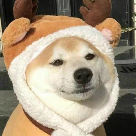 Github Zhichen Zhang Elfic Image Compression - Space Designs - Beautiful Retina Collection