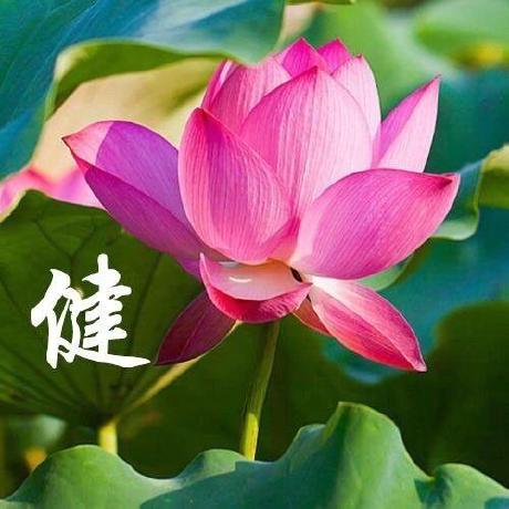 Puritycontrol7 Purity Control V7 Github - Premium Geometric Picture Gallery - 4K