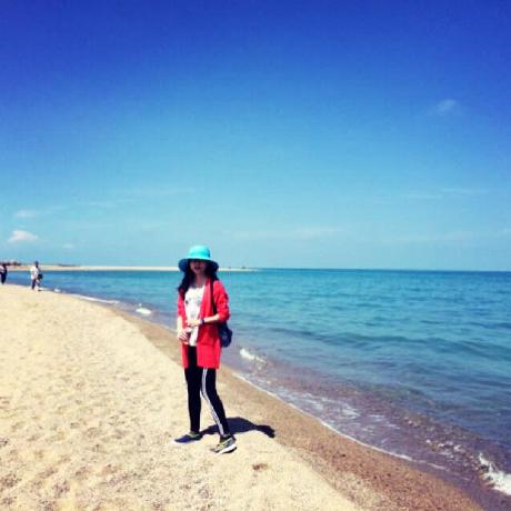 Wanlin Z Github - Nature Illustration Collection - Desktop Quality