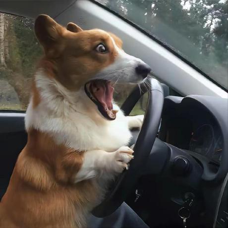 Github Yurui Learning Yurui Learning Github Io - HD Geometric Backgrounds for Desktop