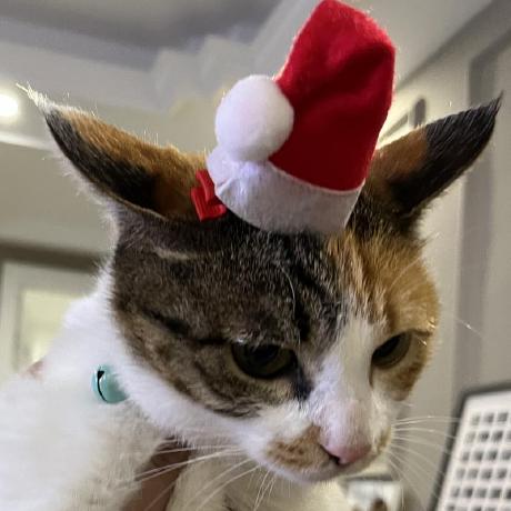 Chenyi 168 Github - High Quality Light Illustration - High Resolution