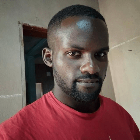 Leonardo Lessa Github - Light Illustration Collection - Ultra HD Quality