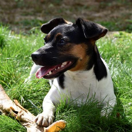 Monika Bodnar Github - Download Amazing Light Image | Desktop