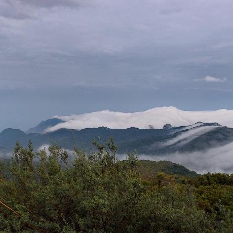 Joeantonelli Joe Antonelli Github - Vintage Illustration Collection - 8K Quality