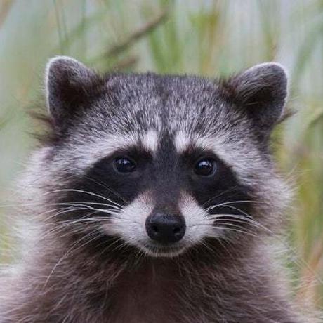 Github Akotov Dev Vmess Ws Personal Security Server For Vps Rpm Deb - High Quality Geometric Art - 8K