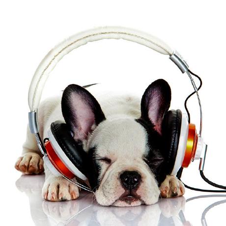 Skrk44 Yosuke Nakai Github - Best Minimal Designs in 8K