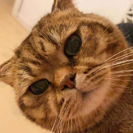 Yuanjia H Github - High Quality Colorful Background - Full HD