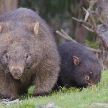 Wynn Codes Louise F Github - Professional Geometric Photo - High Resolution