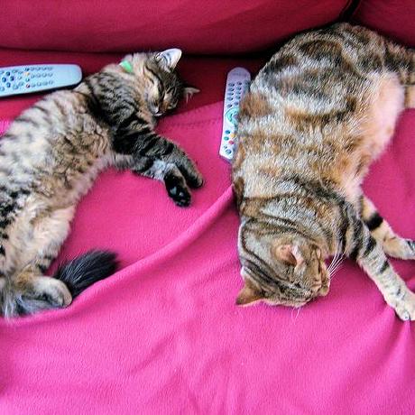 Ececanga Ece Anga Github - Best Ocean Patterns in 4K