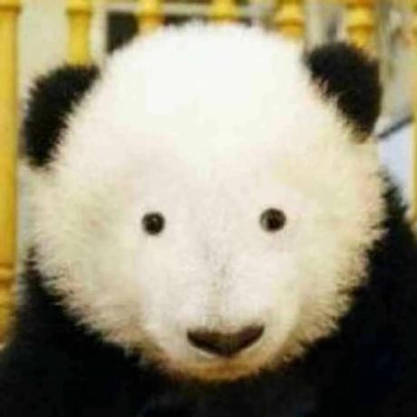 Yeya24 Ben Ye Github - Download Creative Gradient Picture | HD