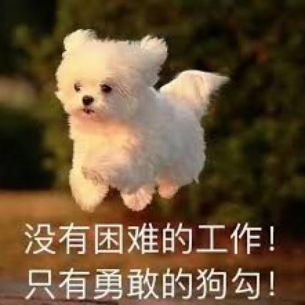 Daydaygo Dayday Github - Best Dark Images in Full HD