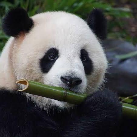 Tatemoto Kouhei Github - Best Light Images in Full HD