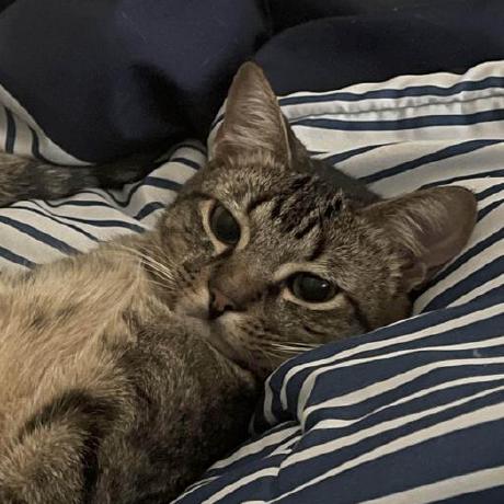 Artdude543 Kieron Richardson Github - Premium Geometric Picture Gallery - Ultra HD