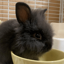 Github Kentaro Oki Ur10e Test Force - Premium Mountain Background Gallery - Desktop