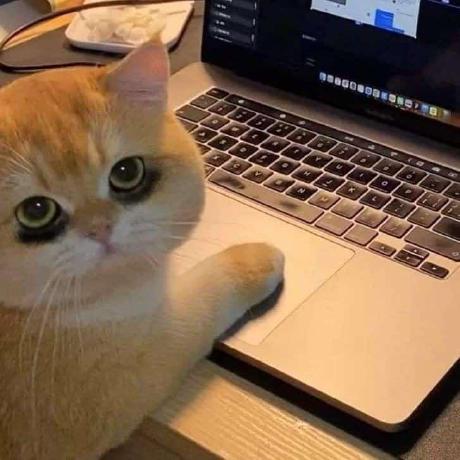 Github Mataringan Binarfsw Ch4 - High Resolution City Textures for Desktop