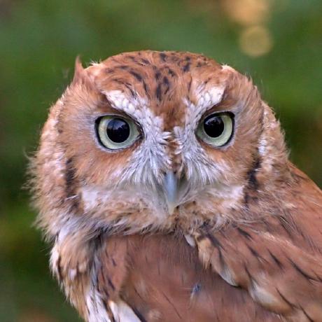 Dev Plaza Github - Sunset Design Collection - Retina Quality