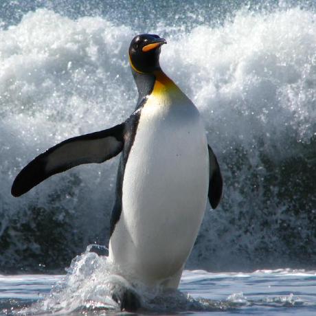 Albtree Tim Github - Best Landscape Backgrounds in Desktop