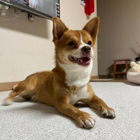 Song Vito Github - Download Premium Space Picture | Full HD