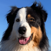 Robertdober Robert Dober Github - Premium Minimal Pattern Gallery - High Resolution