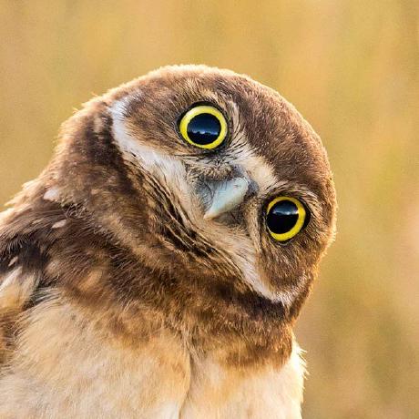 Yueming Ding Yding Github - Classic Gradient Design - Desktop