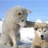 Youhua Tang Github - Premium Landscape Art Gallery - HD