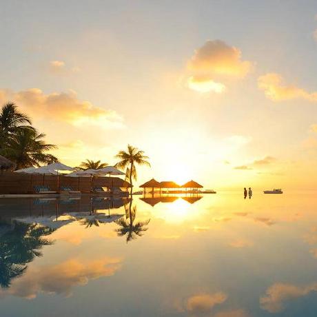 Github Pussycat0700 Webproject 2021s - Premium Ocean Illustration Gallery - Retina