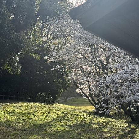 Wxshhh Github - Best Landscape Backgrounds in Full HD