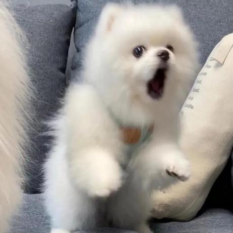 Regan226 Regan Github - Download Creative Space Picture | 8K