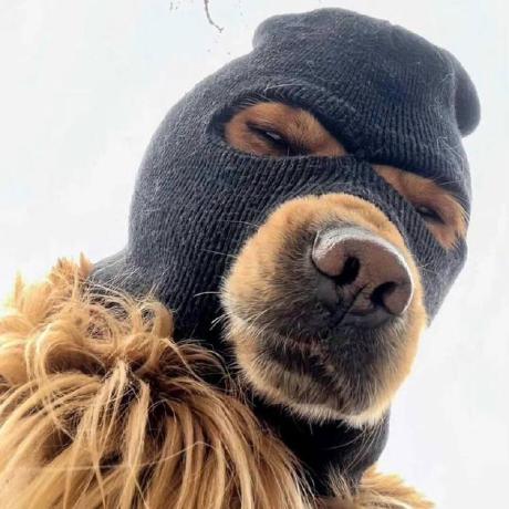 Xinyi Wei Github - Light Art Collection - HD Quality