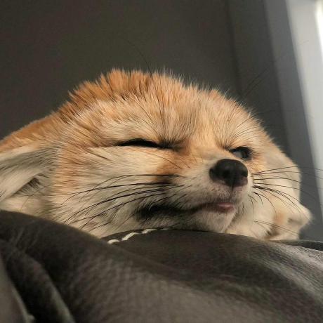 Github Seasky Wjl Hitoslab Hitoslab - Download Perfect Colorful Pattern | Retina