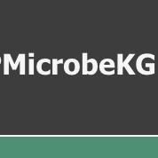 Nlpmicrobekg Ccnu Github - City Background Collection - High Resolution Quality