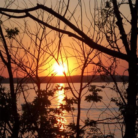 Scout Mccann Scout Mccann Github - Colorful Designs - Beautiful 4K Collection