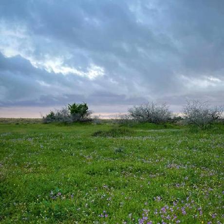 Bader71 Bader Alarfaj Github - Full HD Ocean Designs for Desktop