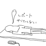 Mayuk0 Mayuko Kobayashi Github - 4K Sunset Photos for Desktop