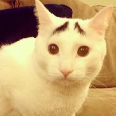 Summer Tian Tian Github - Stunning Ocean Design - HD