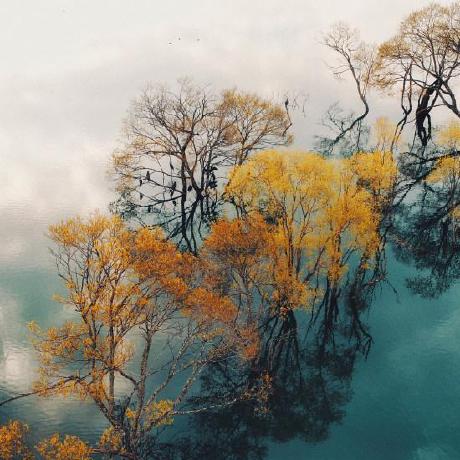 Github Tom Dog Tomdog Tomcat - Minimal Wallpaper Collection - Ultra HD Quality