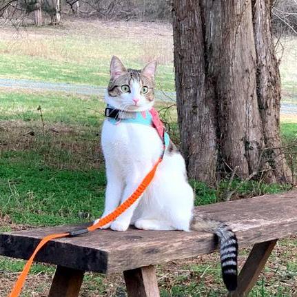 Hotspot Examples Example3 Example Materials At Master Uvahotspot Hotspot Github - Space Arts - Classic HD Collection