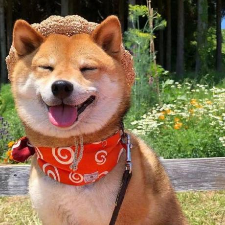 Github Preethikonkathi Causal Mechanisms Rse - Geometric Photo Collection - HD Quality