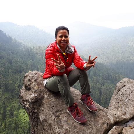 Iris5ama Iris Github