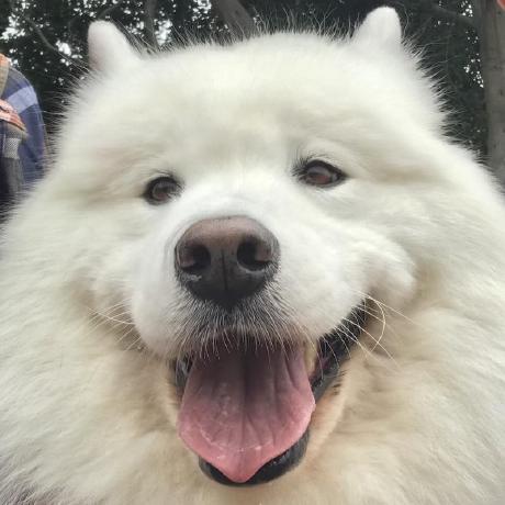 Bsheehan3117 Brendan Sheehan Github - High Quality 8K Geometric Patterns | Free Download