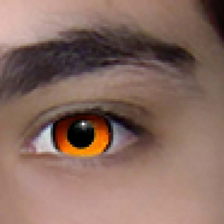 Sinamkhani Sina Moharamkhani Github - Elegant Retina Landscape Patterns | Free Download