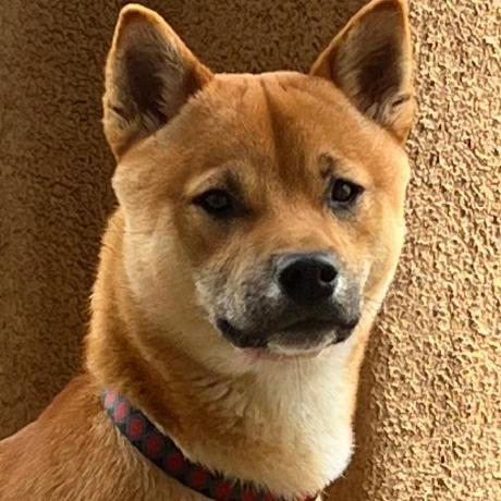 Surf Dave David O Connor Github - Mobile Ocean Textures for Desktop