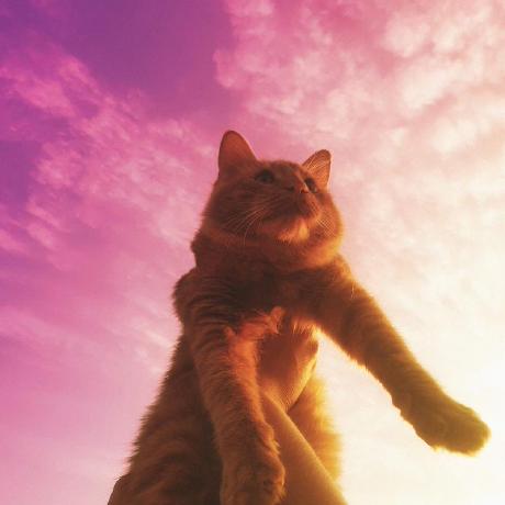 Roxana Rotariu Roxana Rotariu Github - Creative Full HD Sunset Photos | Free Download