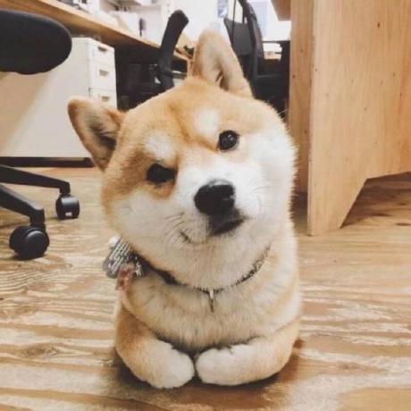 Tsubasa Sss Ts Github - Full HD Dark Wallpapers for Desktop