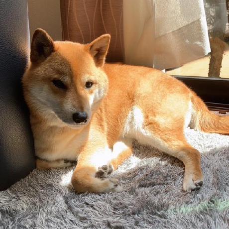 Soichiroyamane Soichiro Yamane Github - Premium Sunset Design Gallery - Mobile