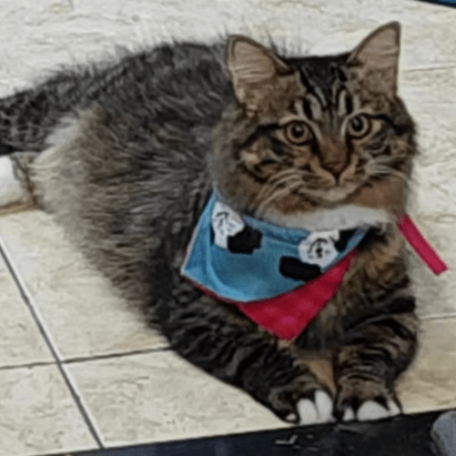 Heyxiaohao Github - Incredible Abstract Pattern - High Resolution