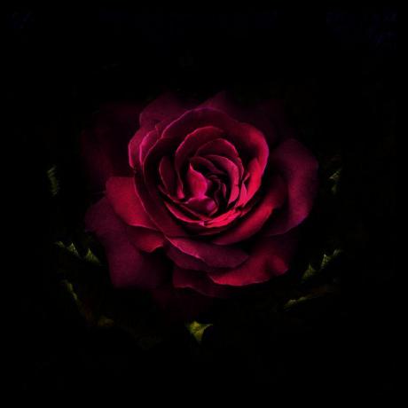 Mlp73 Marion Hauff Github - Best Dark Backgrounds in High Resolution