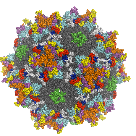 Github Reference Project Genetictsp - Download Professional Colorful Wallpaper | 8K