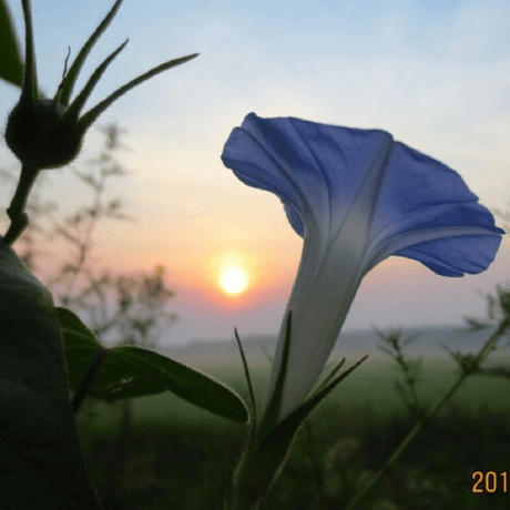 Github Intbird Videoplayerlib Android Media Player Lib Both Use - Download Ultra HD Ocean Picture | Mobile